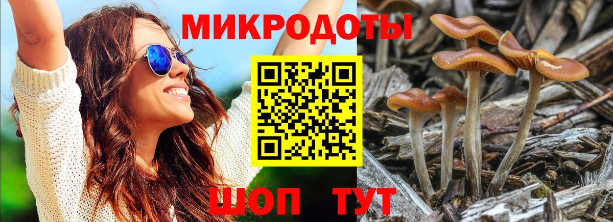 Шали  Псилоцибиновые грибы GOLDEN TEACHER  Вход с VPN 